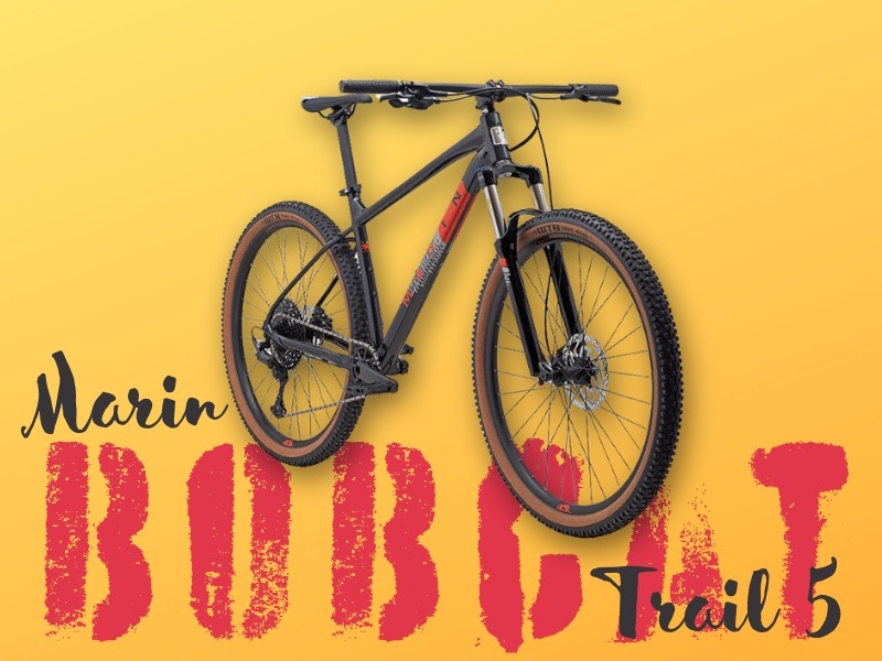 Marin Bobcat Trail 5 – Szukasz roweru do odkrywania leśnych ścieżek?